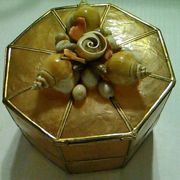 Shell Box - Picture 2 of 8